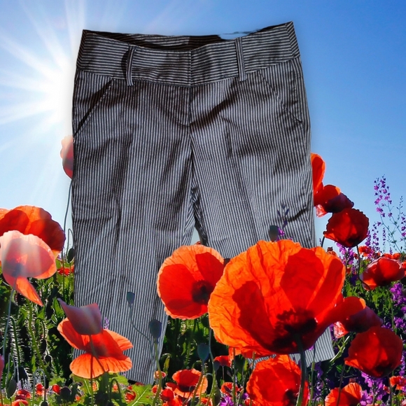 Capri - Picture 1 of 1